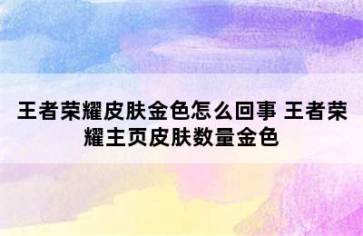 王者荣耀皮肤金色怎么回事 王者荣耀主页皮肤数量金色